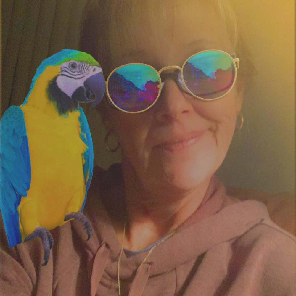 Meet your Posher, Terry